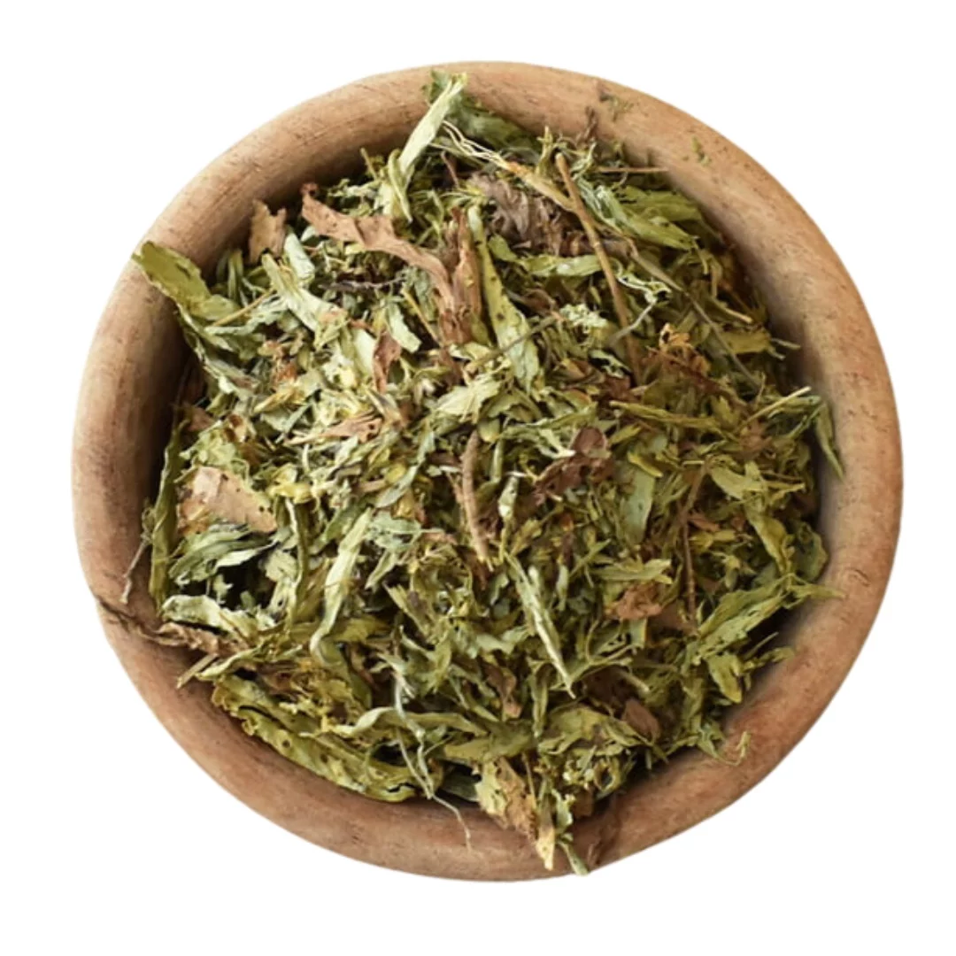 Stevia en hojas