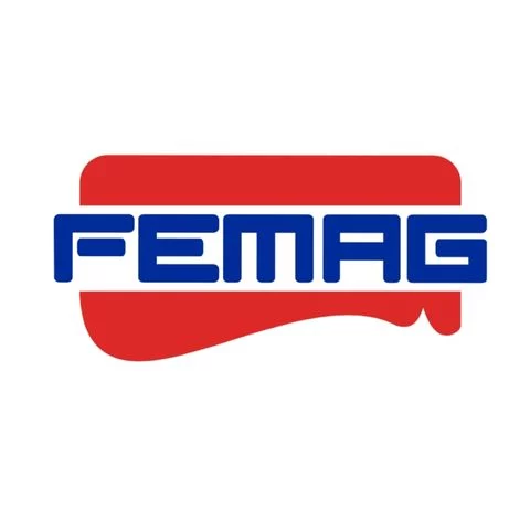 FEMAG